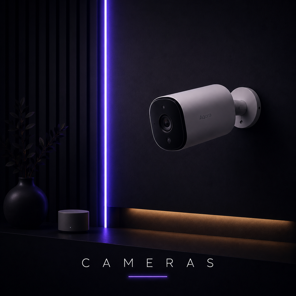 Cameras