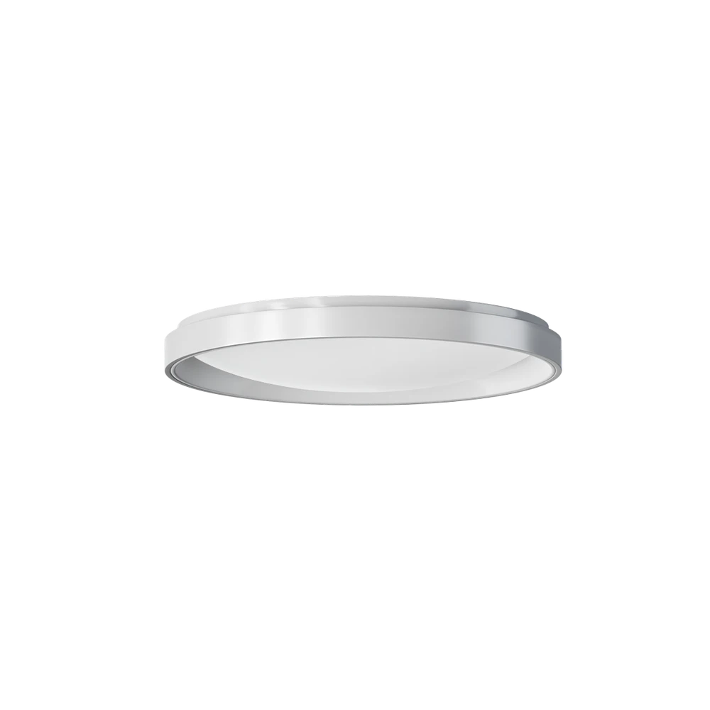 Ceiling Light T1M