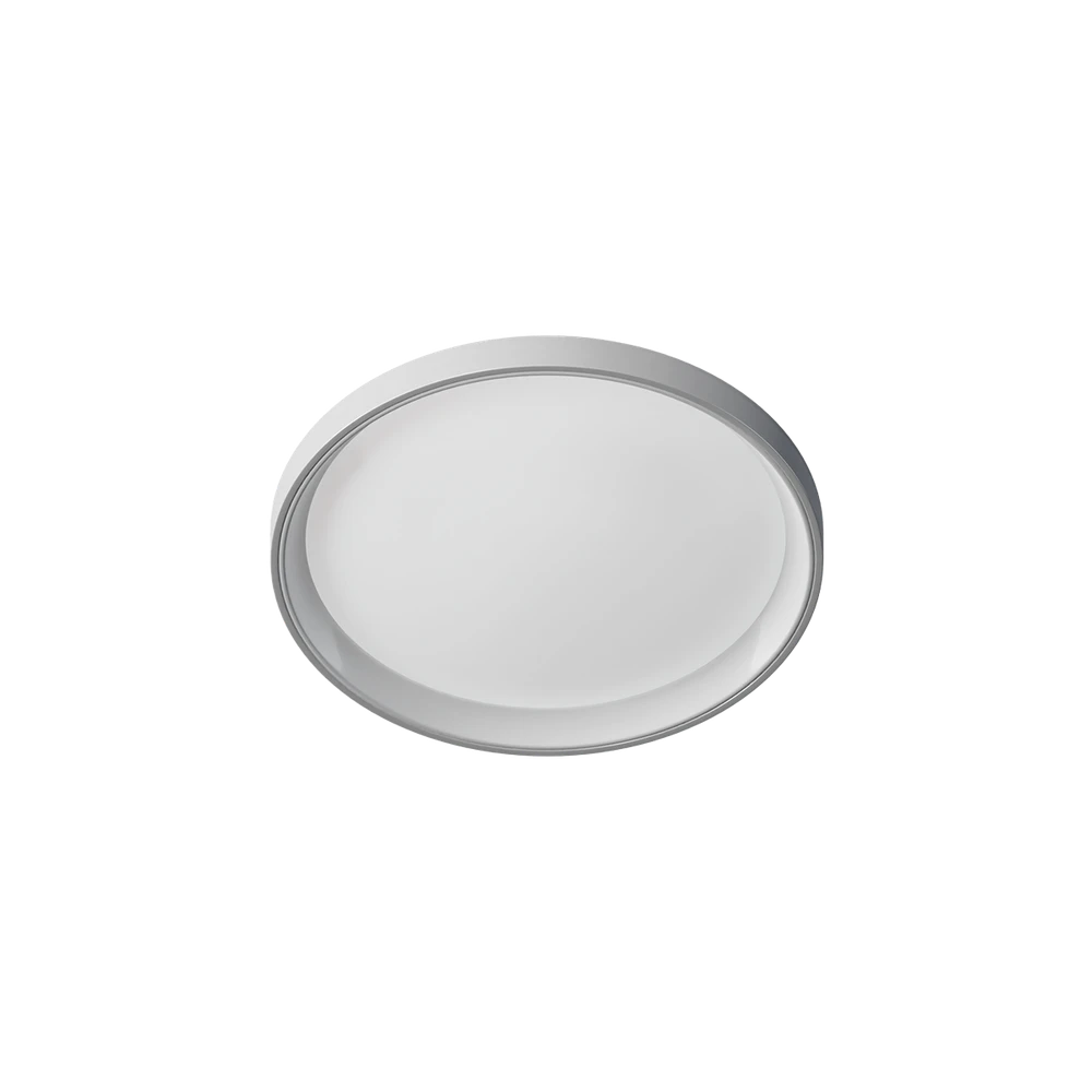Ceiling Light T1M