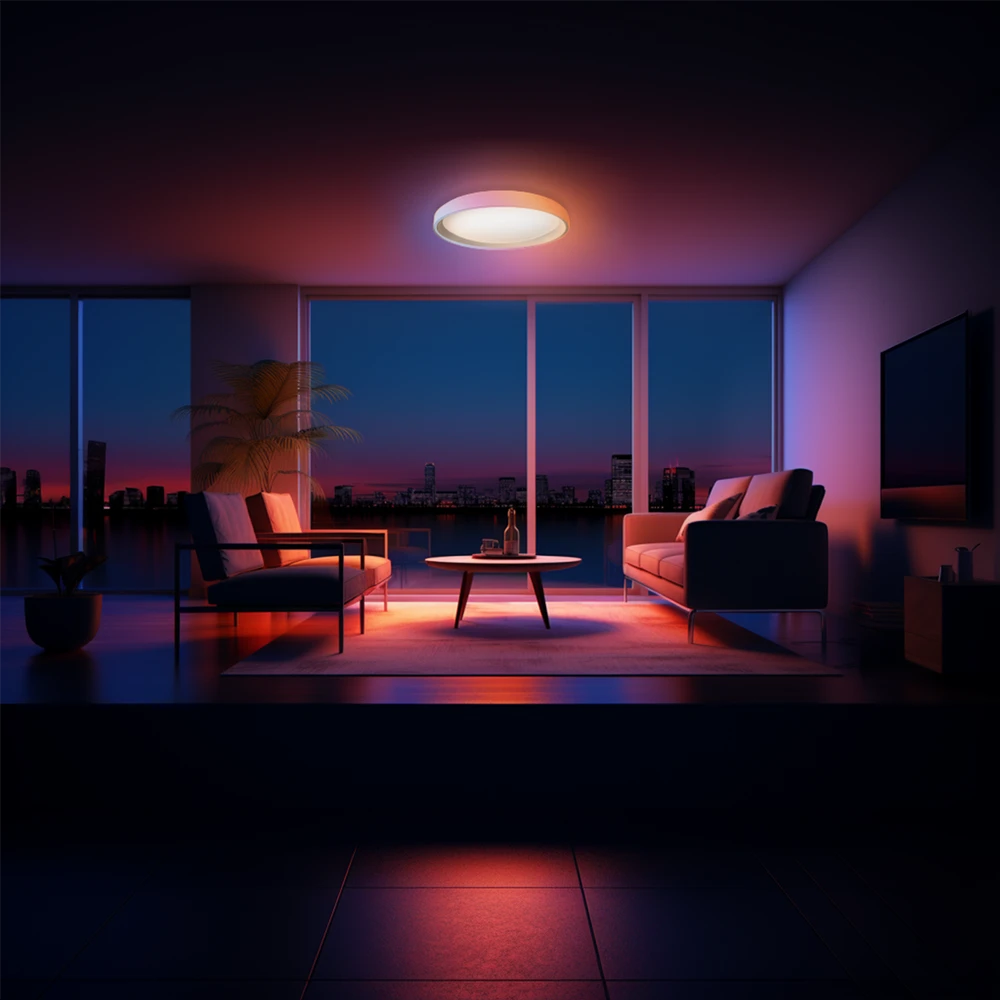 Ceiling Light T1M