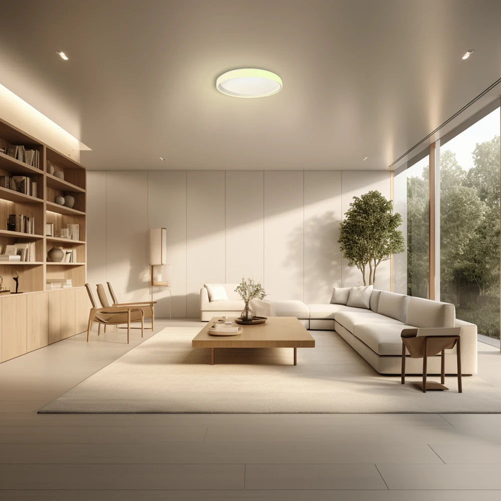 Ceiling Light T1M