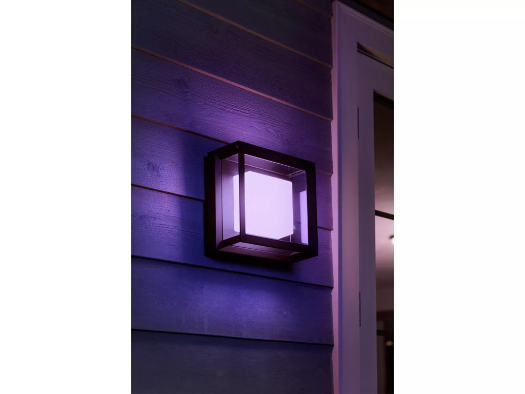 Philips Hue Econic Outdoor Wall Light