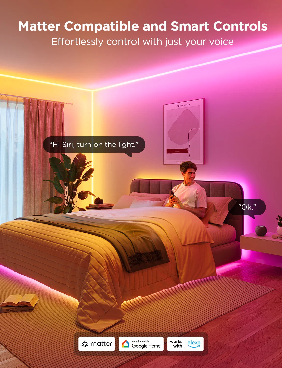 Govee Rope Lights for Wall Lining